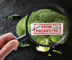 Food Poisoning Causes - You Drug Mart Food Poisoning Causes