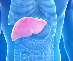 Prevention of Liver Disease - You Drug Mart Prevention of Liver Disease