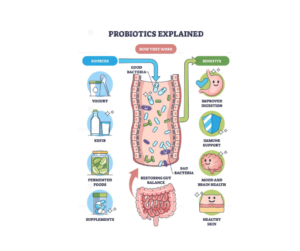 how probiotics foods work - You Drug Mart how probiotics foods work