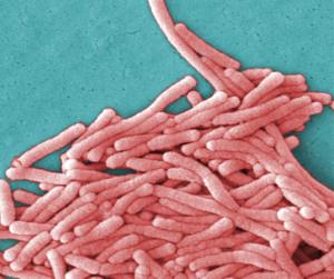 legionnaires disease outbreak - You Drug Mart legionnaires disease outbreak